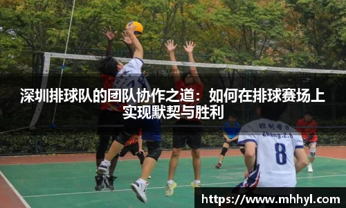 深圳排球队的团队协作之道：如何在排球赛场上实现默契与胜利
